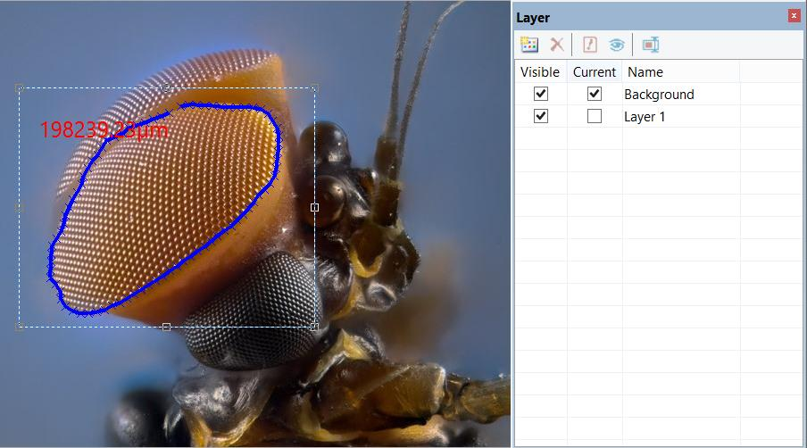 Измерение и панель слоёв ImageFocus Alpha