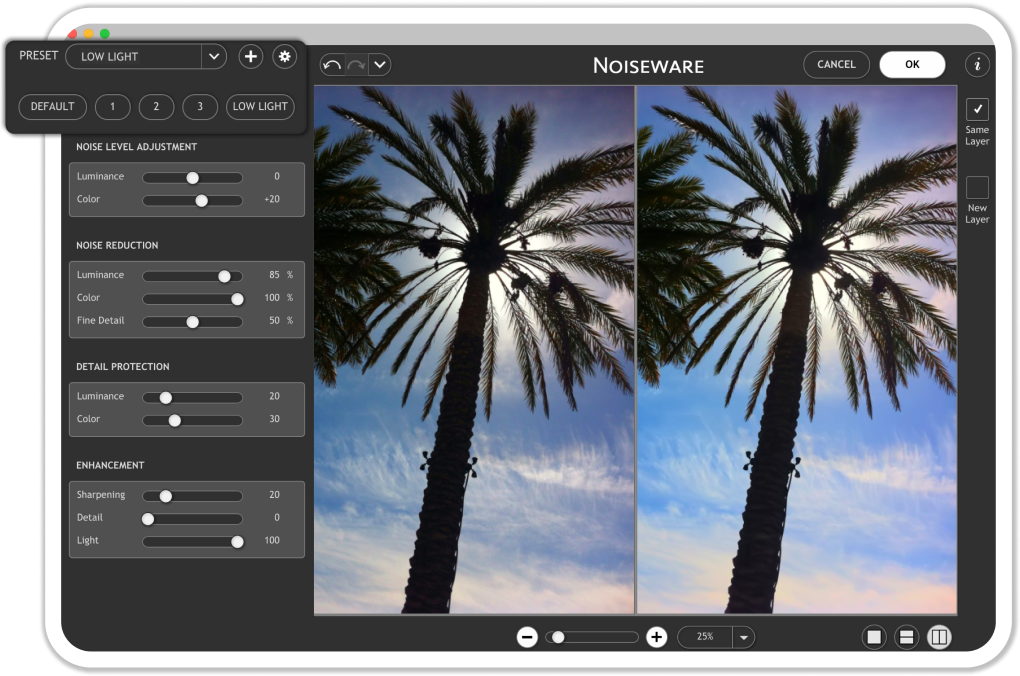 Noiseware с пресетом Low Light и настройками Noise Reduction