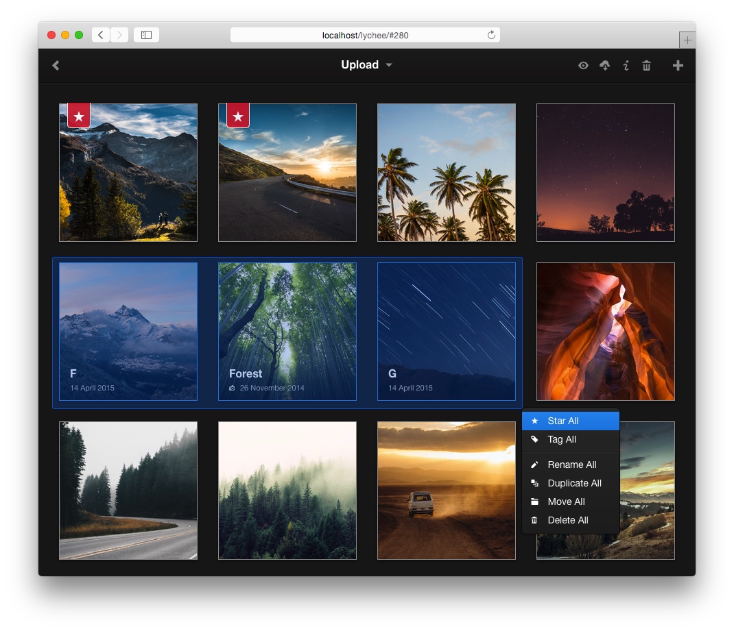 Выбранные фотографии в интерфейсе Lychee