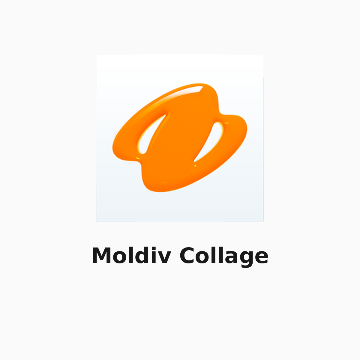 Moldiv Collage