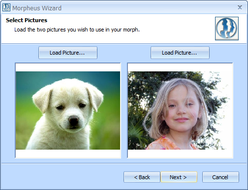Выбор двух исходных изображений в Layout Wizard