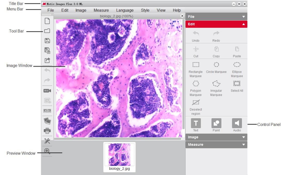 Основное окно Motic Images Plus с панелями изображения и управления