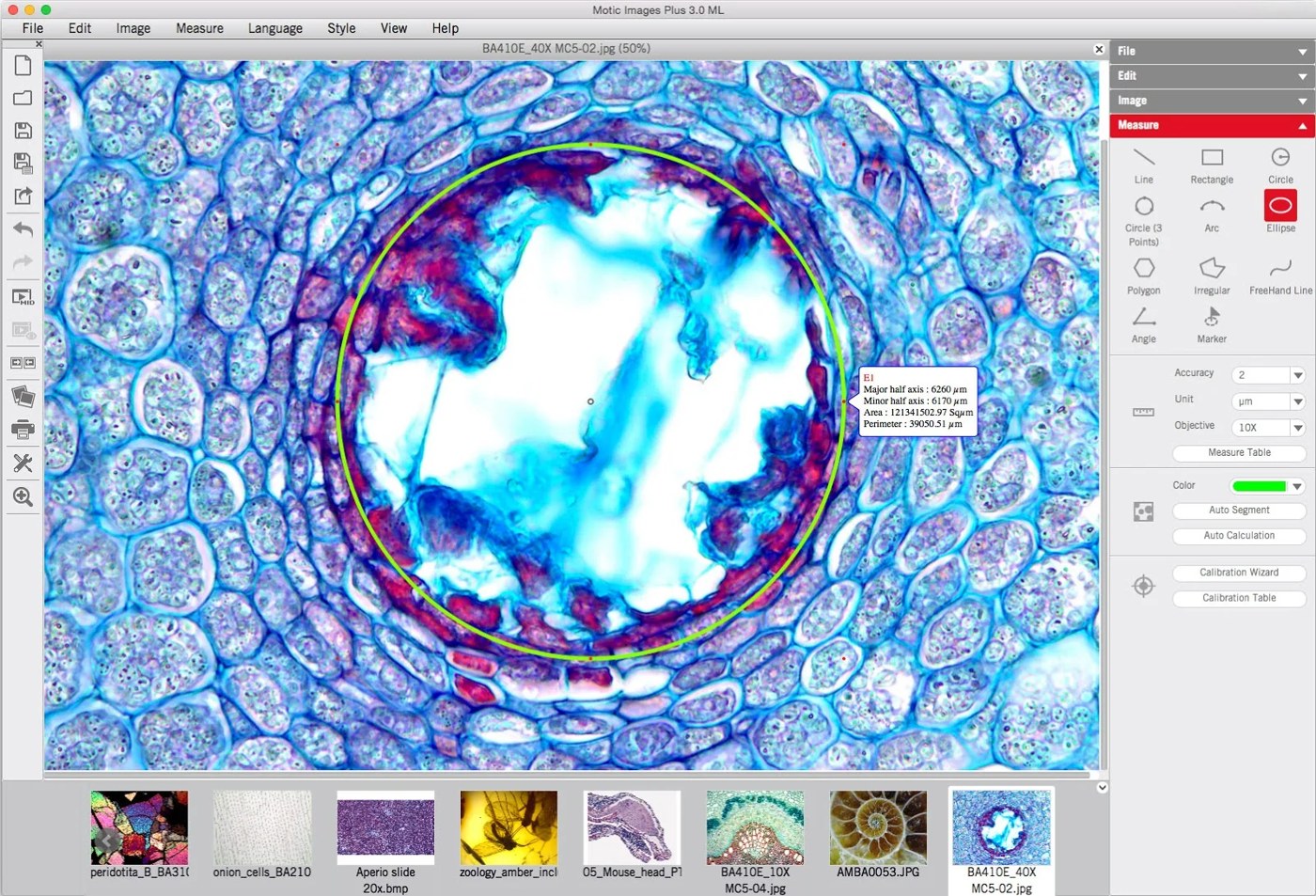 Экран Motic Images Plus с измерительными инструментами и образцом