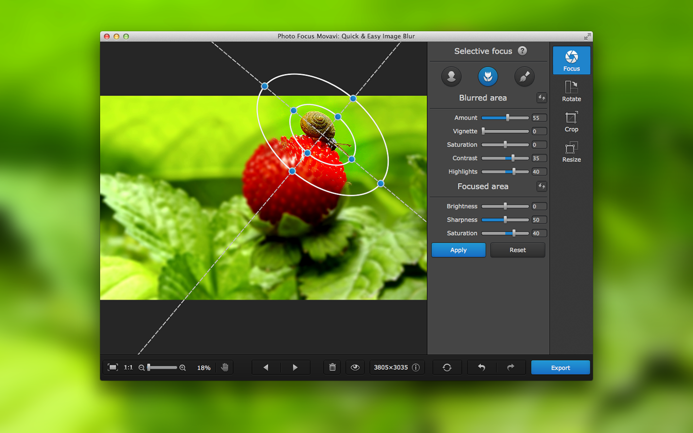 Интерфейс Movavi Photo Focus