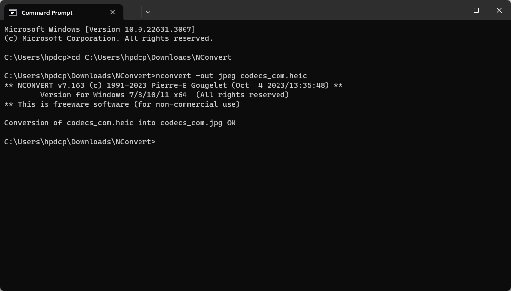 Пример успешной конвертации изображения командой NConvert