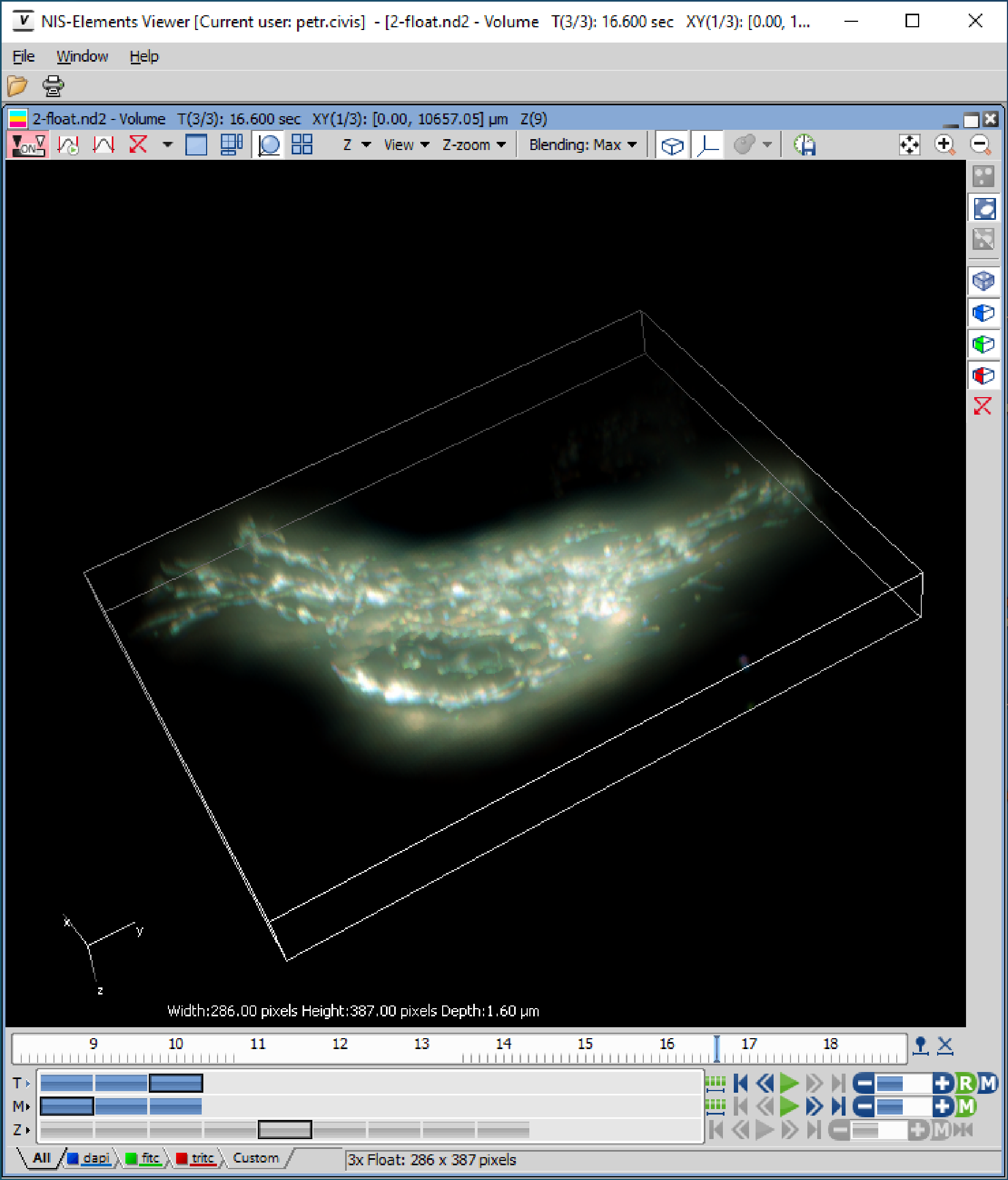 Окно NIS-Elements Viewer в режиме Volume View