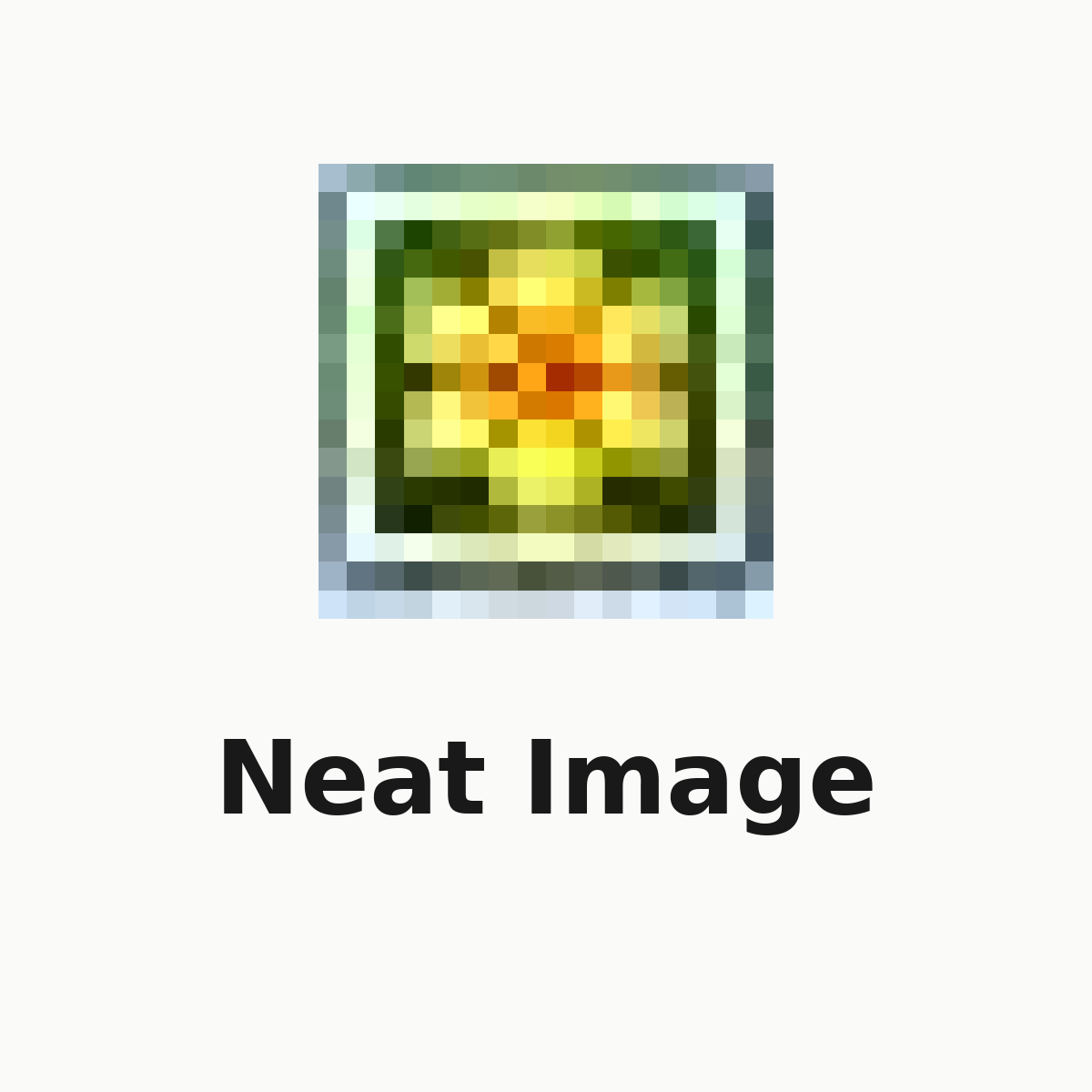 Neat Image