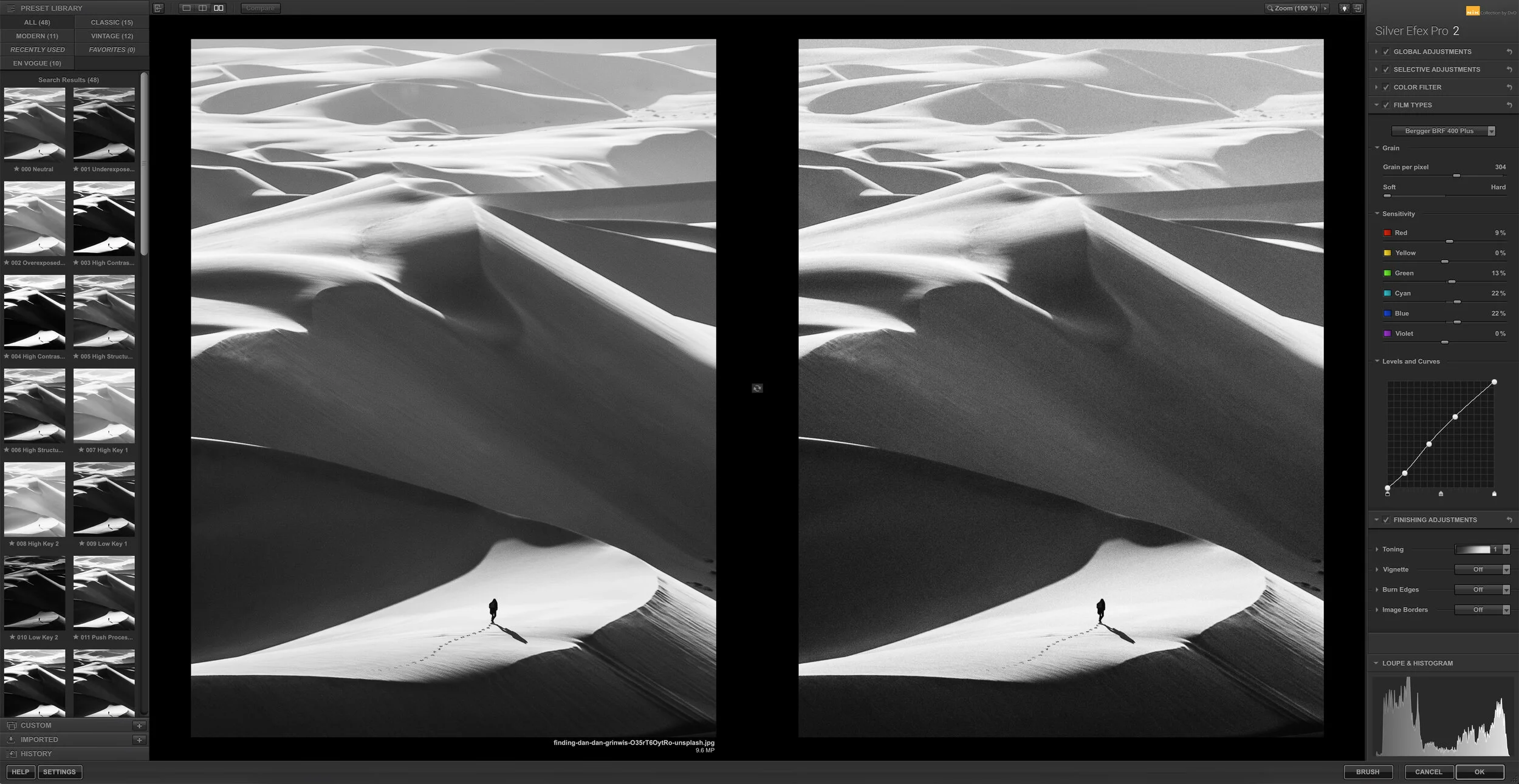 Плёночное зерно и тональная кривая в Silver Efex Pro 2