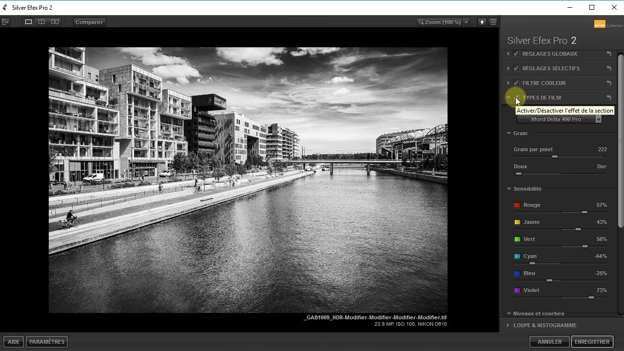 Панель Film Types и параметры зерна Silver Efex Pro 2