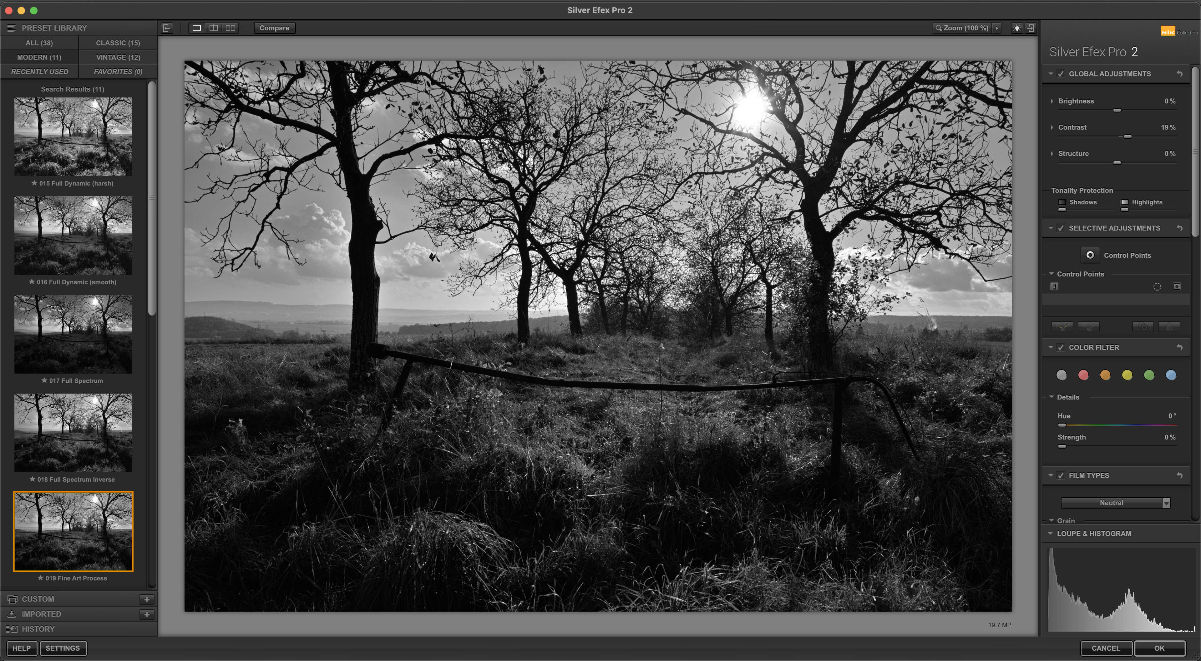Интерфейс Silver Efex Pro 2 с пресетами, настройками и гистограммой