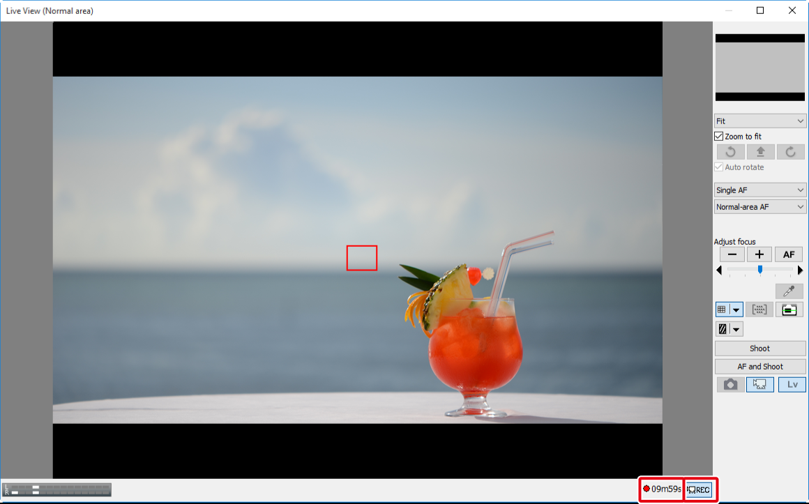 Видеозапись в Live View Nikon Camera Control Pro 2