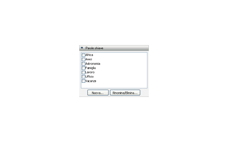 Панель Keywords в Nikon PictureProject со списком ключевых слов