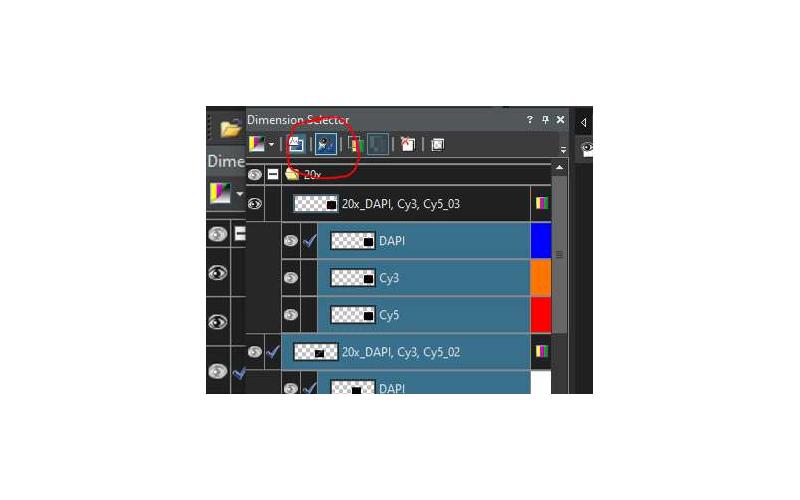 Панель Dimension Selector в OlyVIA с переключателями слоев и каналов