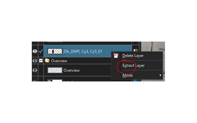 Команда Extract Layer в контекстном меню слоя OlyVIA