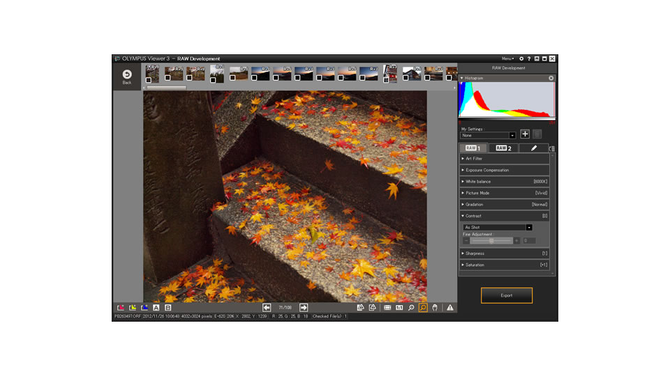 Olympus Viewer 3: окно RAW Development для ORF