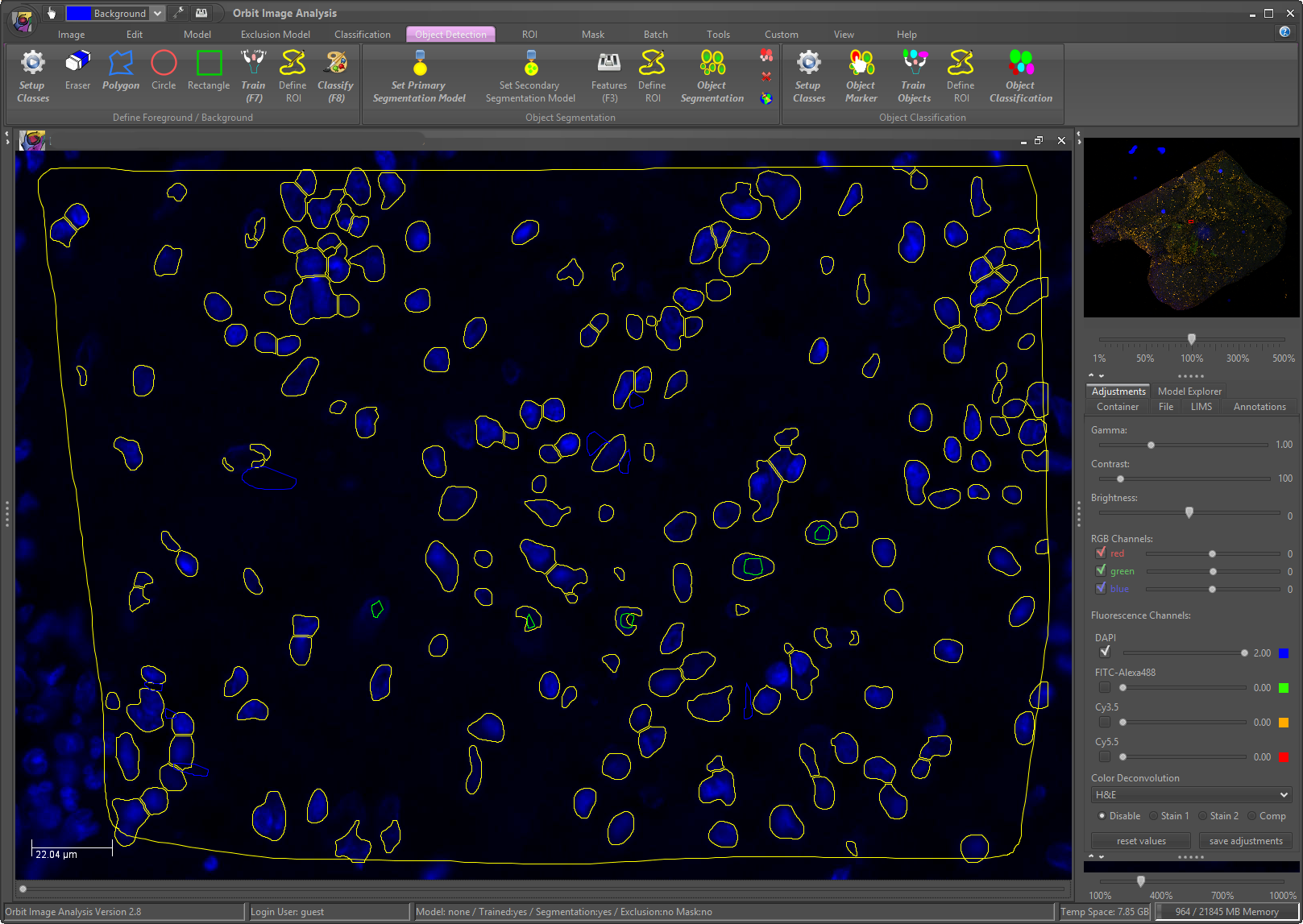 Сегментация ядер по каналу DAPI для последующего использования как маски