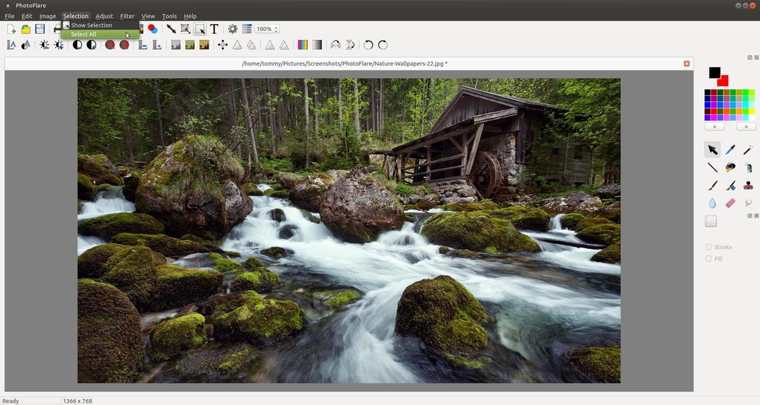 Выделенная область на фотографии в PhotoFlare