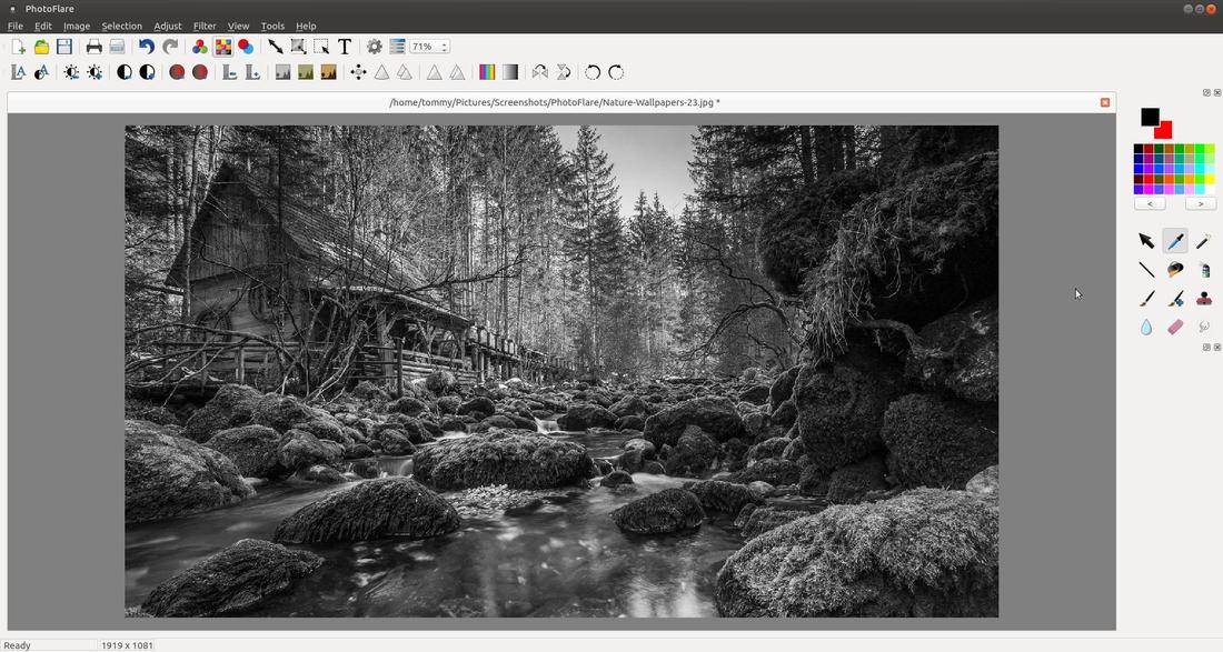 Преобразование фотографии в оттенки серого в PhotoFlare