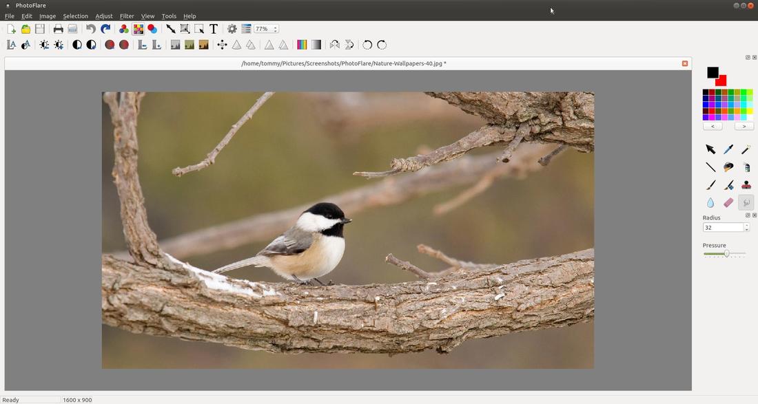 Исходная фотография перед работой клонирующим штампом PhotoFlare