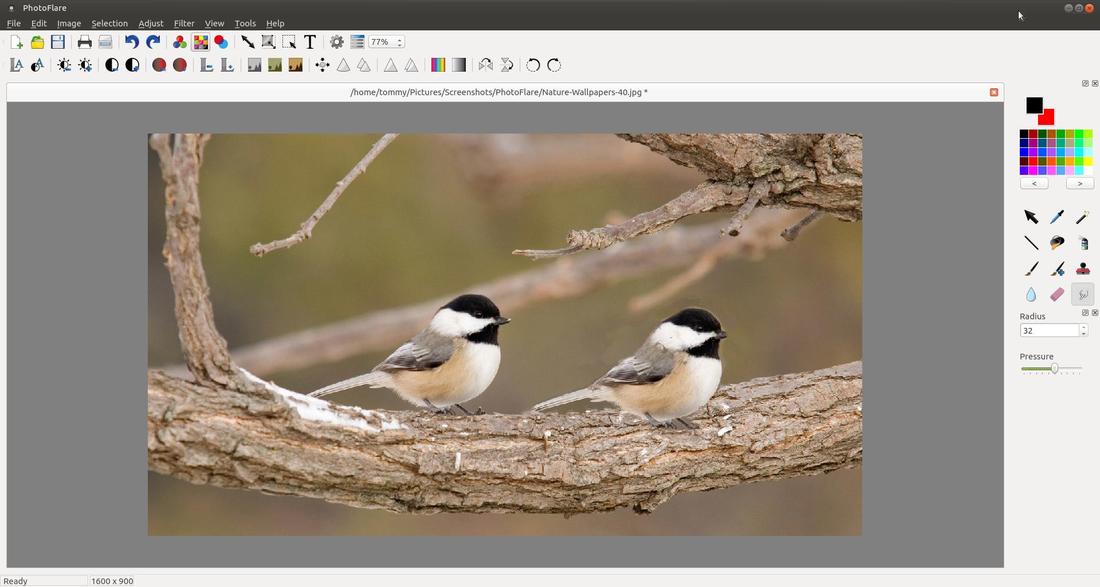 Результат клонирования фрагмента фотографии в PhotoFlare