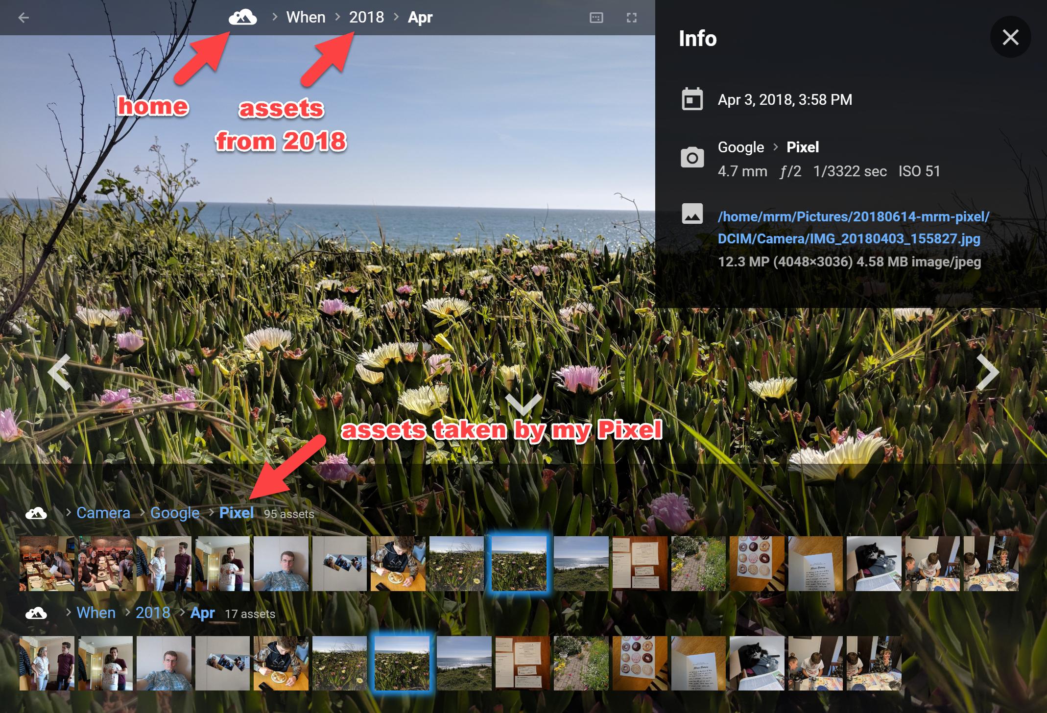 Потоки навигации и категории PhotoStructure