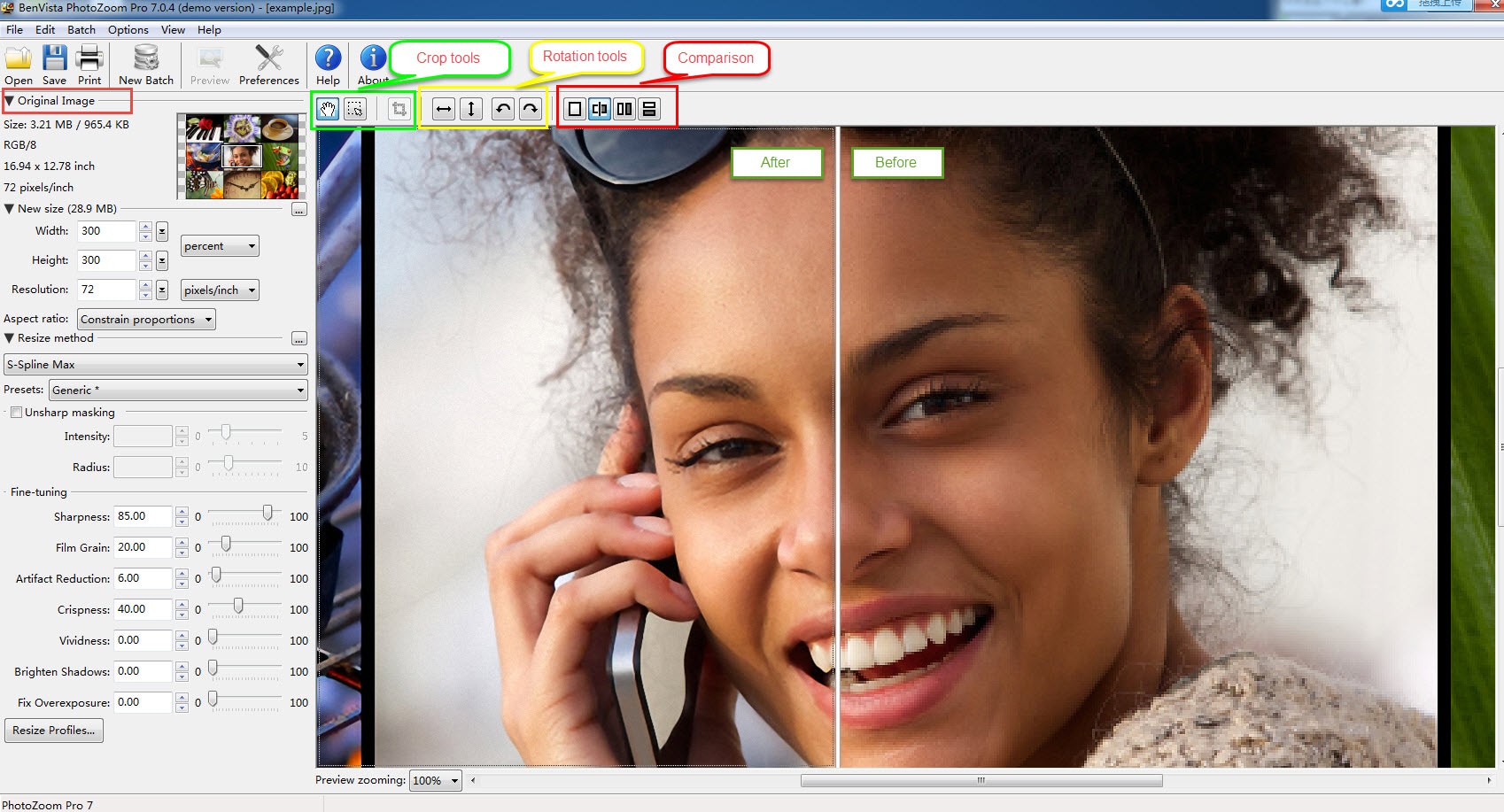 Рабочее окно PhotoZoom Pro с панелью параметров и режимами сравнения