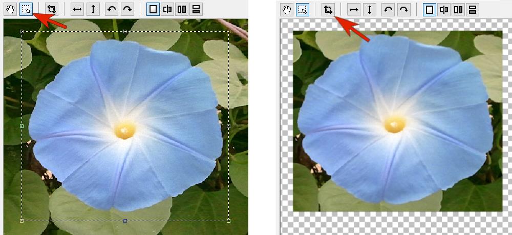 Кадрирование изображения перед масштабированием в PhotoZoom Pro