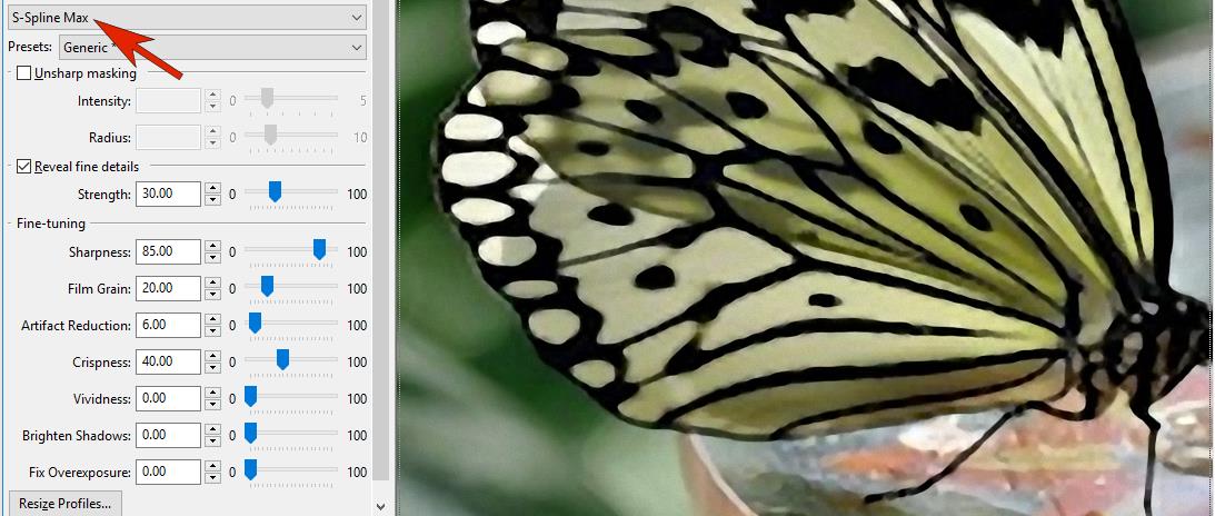 Выбор метода S-Spline и панель тонкой настройки PhotoZoom Pro