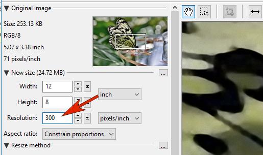 Параметры Width, Height, Resolution и Aspect ratio в PhotoZoom Pro