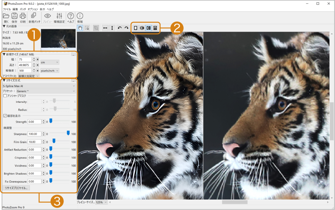 Интерфейс PhotoZoom Pro с параметрами нового размера и сравнением изображения