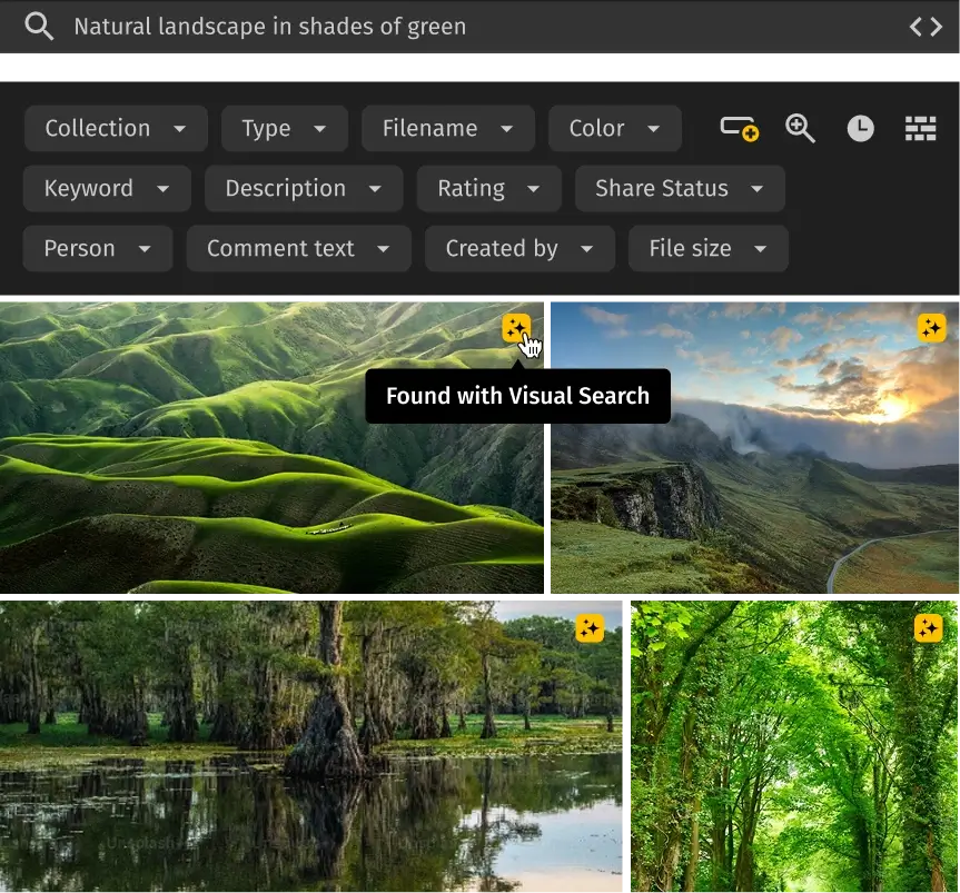 Интерфейс Pics.io: расширенная панель фильтров