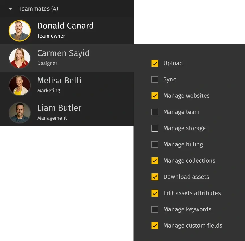 Интерфейс Pics.io: командные роли и team policies