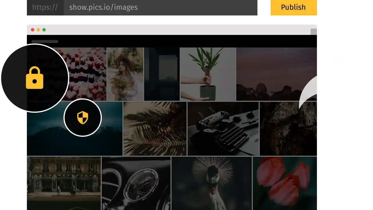 Интерфейс Pics.io: restriction и сроки использования