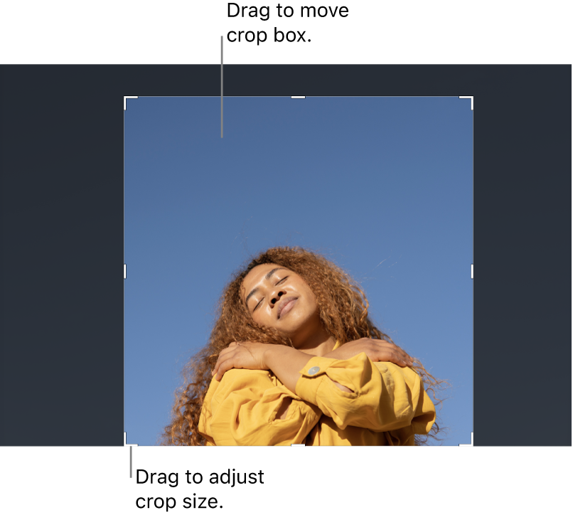 Инструмент Crop в Pixelmator Pro