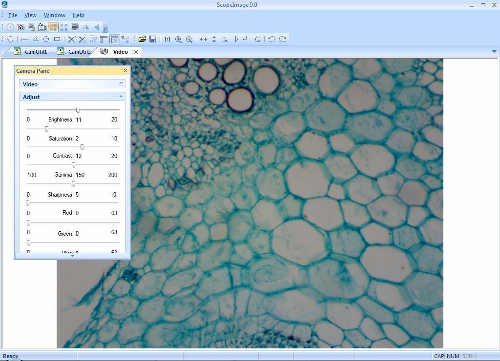 Camera Pane ScopeImage 9.0 с параметрами Adjust