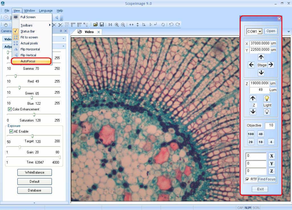 Опциональная панель AutoFocus ScopeImage 9.0