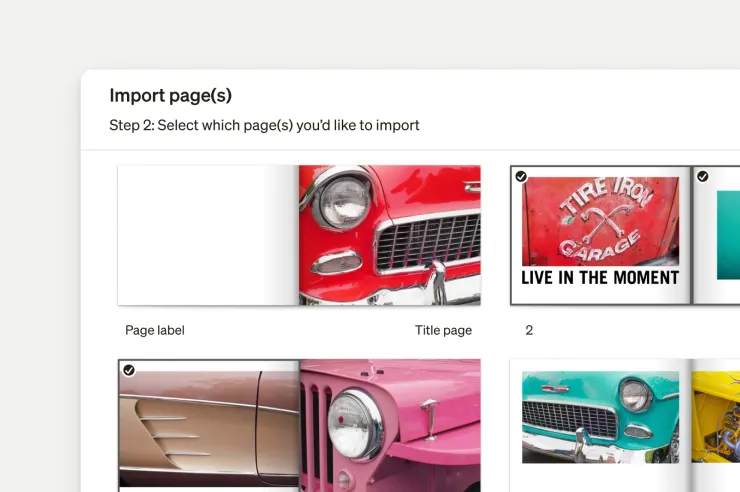 Диалог Import page(s) с выбором страниц из другого проекта