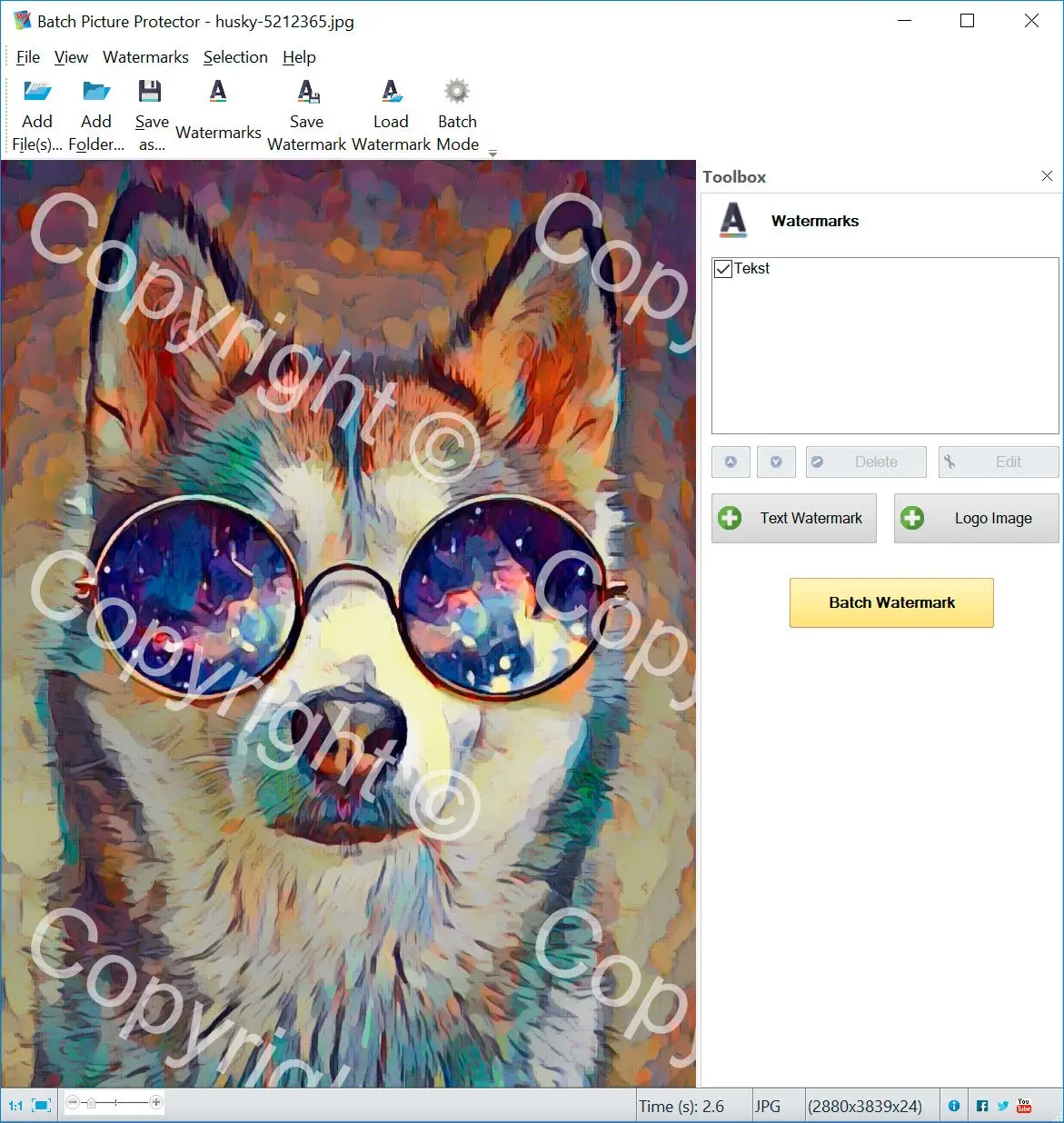 Главное окно SoftOrbits Batch Picture Protector с набором водяных знаков