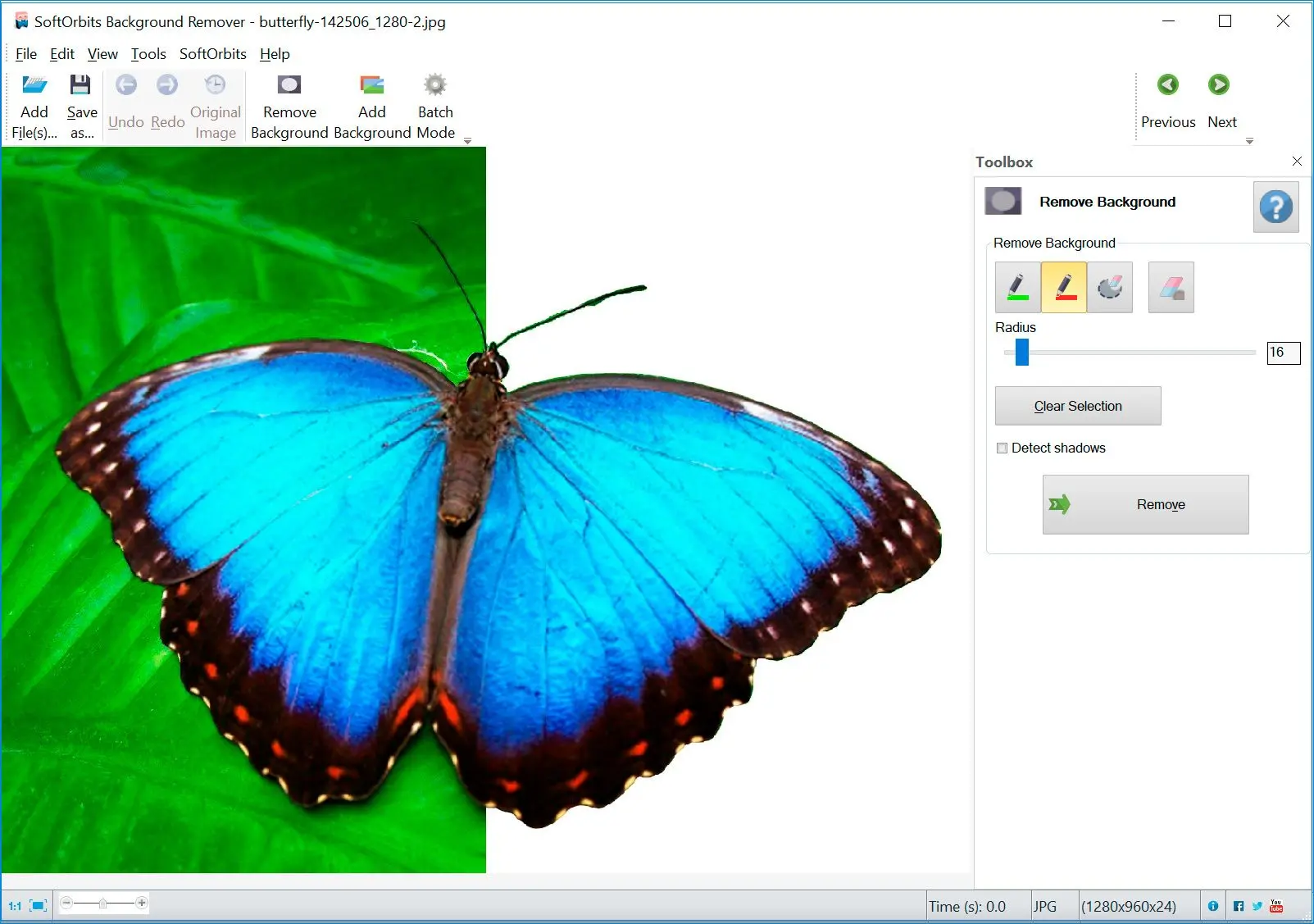 Основное окно SoftOrbits Photo Background Remover с загруженной фотографией
