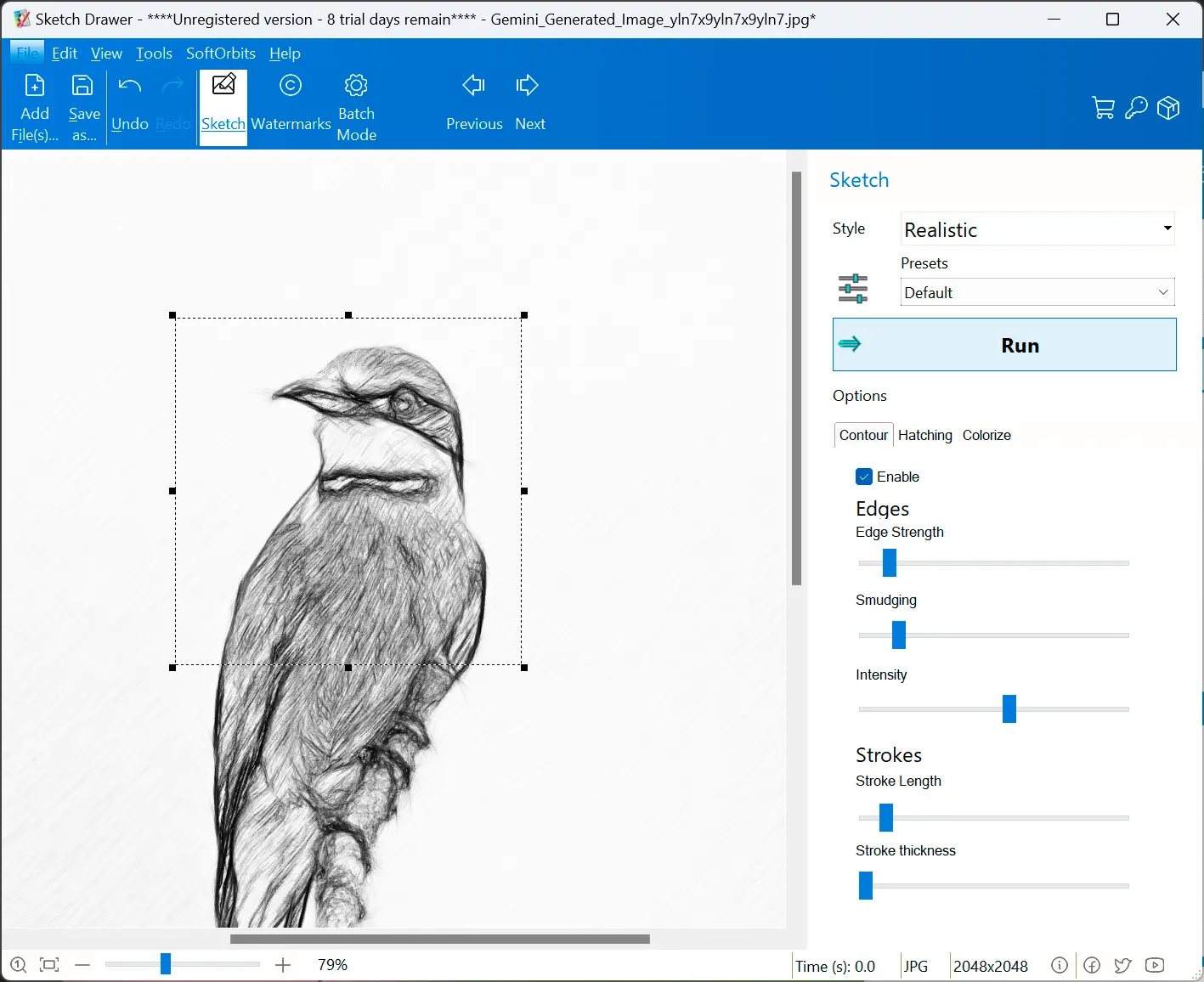 Готовый карандашный результат в окне SoftOrbits Sketch Drawer