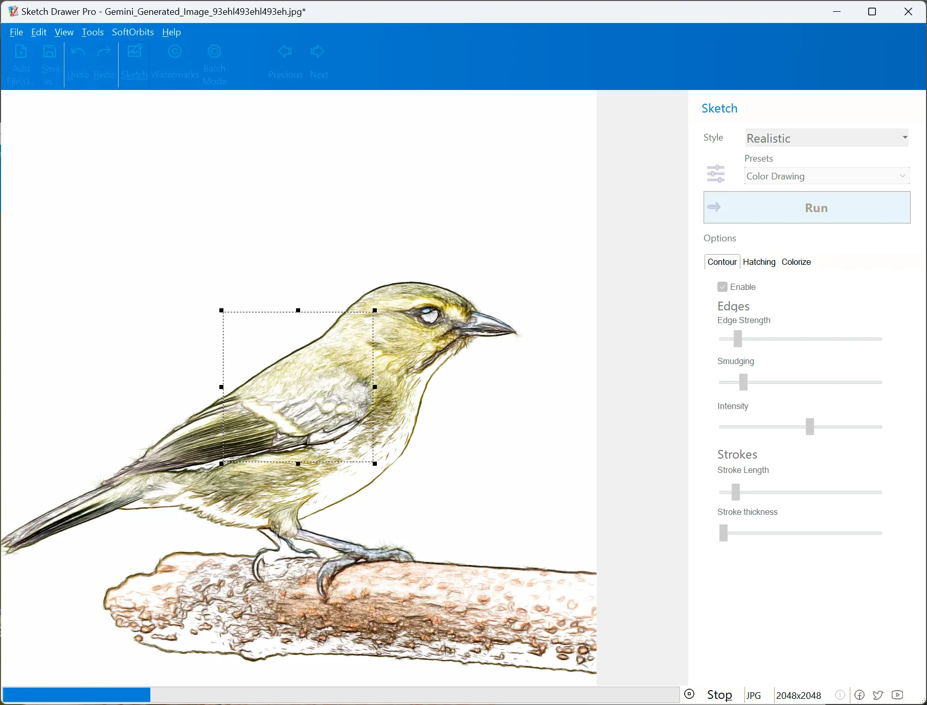 Рассчитанный скетч фотографии птицы в рабочем окне Sketch Drawer