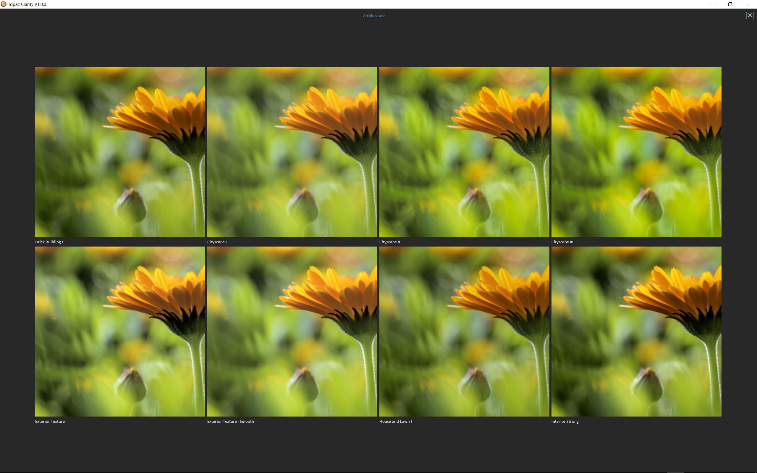 Режим QuickLook с одновременным просмотром нескольких пресетов Topaz Clarity