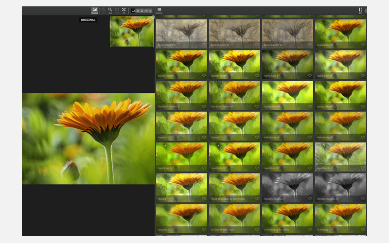 Сетка художественных пресетов Topaz Impression