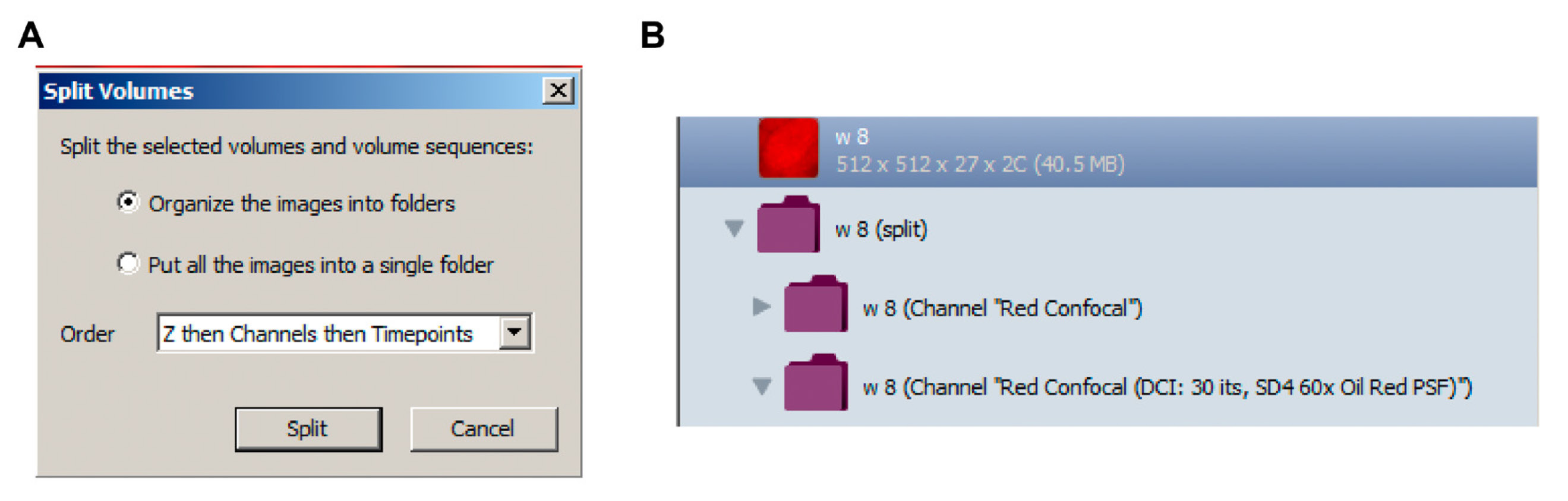 Volocity: Split Volumes и созданные элементы каналов в Library