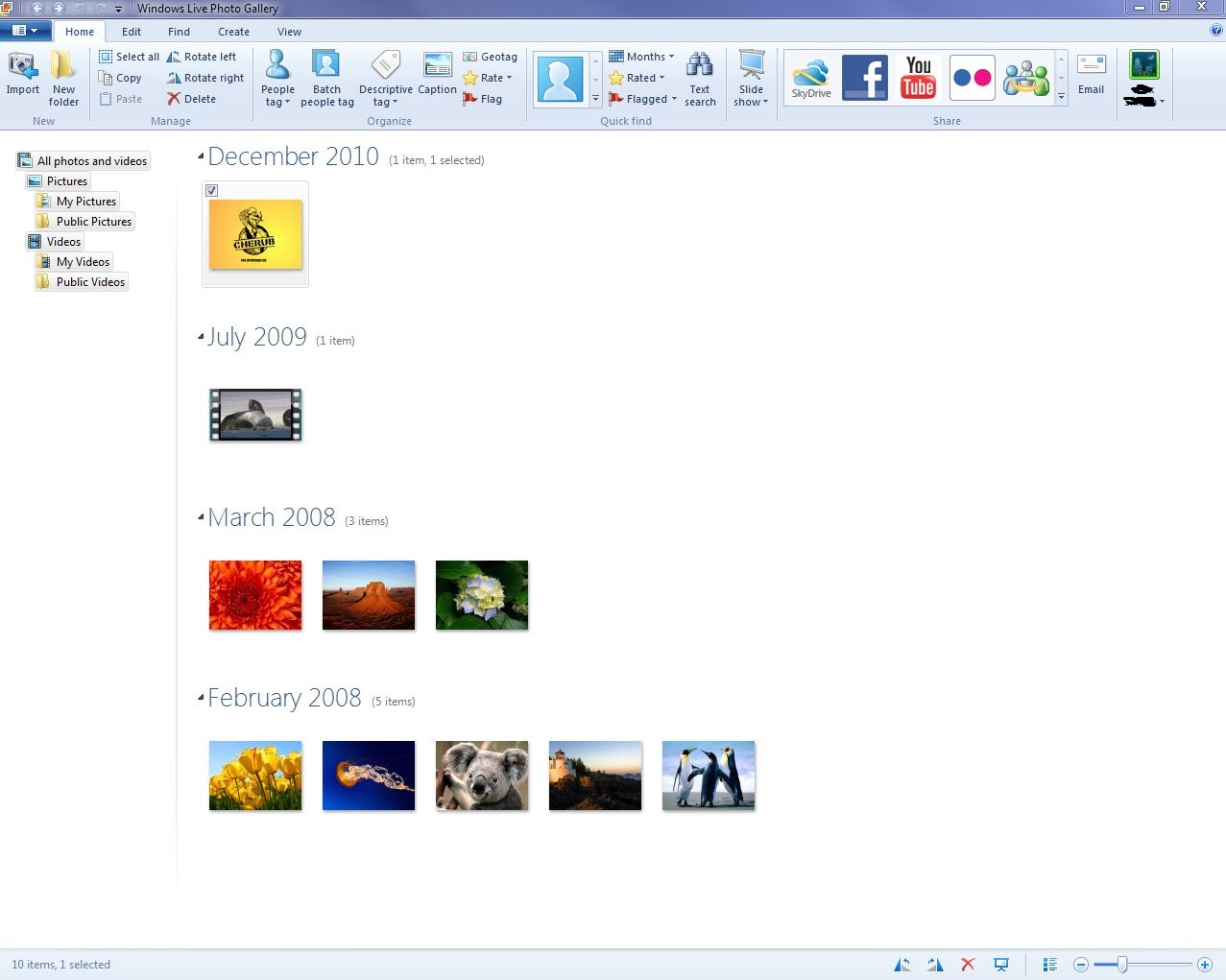 Главное окно Windows Live Photo Gallery с вкладкой Home и лентой команд