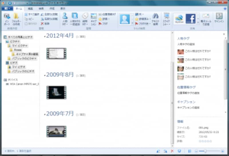 Библиотека Windows Live Photo Gallery с панелью сведений и меток