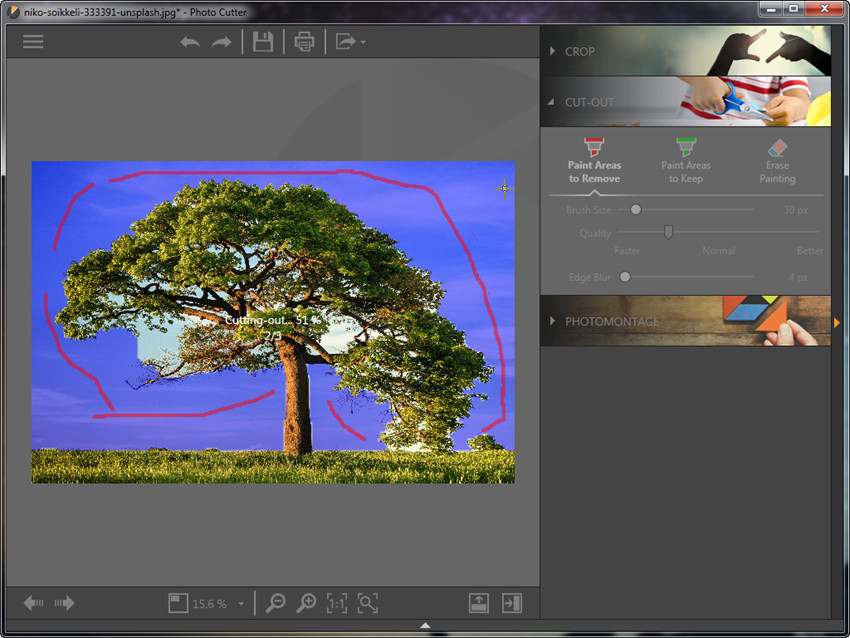 Разметка объекта для удаления фона в Wondershare Fotophire