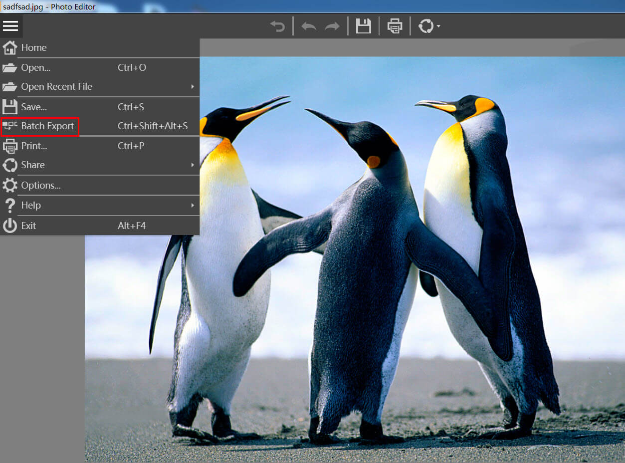 Окно Batch Export в Wondershare Fotophire Photo Editor