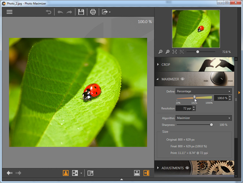 Увеличение фотографии в процентах в Fotophire Maximizer