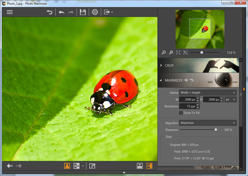 Задание ширины и высоты изображения в Fotophire Maximizer